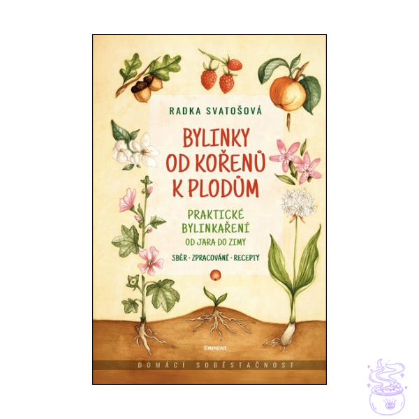 Bylinky od kořenů k plodům